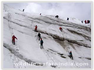 Himalaya Trekking 