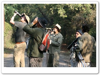 birding-tour