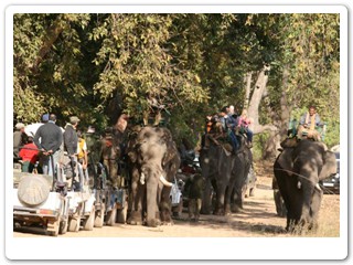 bandhavgarh