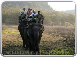 elephant-safari