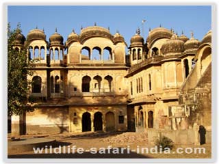 Nawalgarh Temple 