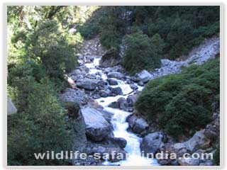 Ramgeet from bakhim, sikkim