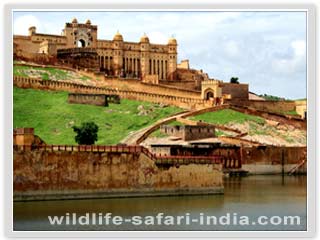 Amber Fort Jaipur