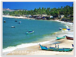 Beach of Goa 