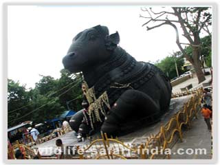 Nandi Bull Temple, Bangalore