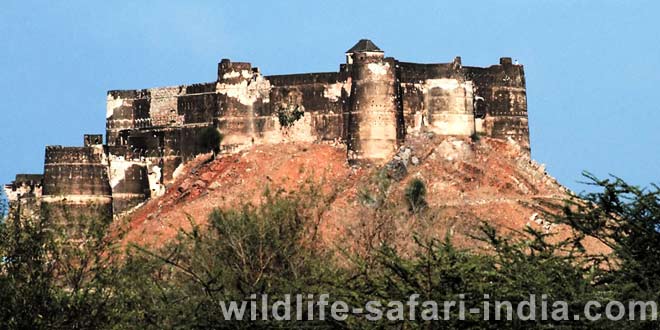 Rajasthan Fort