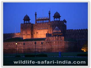 Red fort, delhi