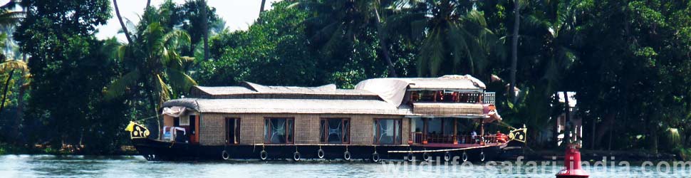 Kerala Backwaters