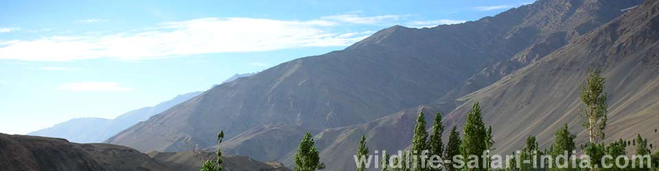 Ladakh