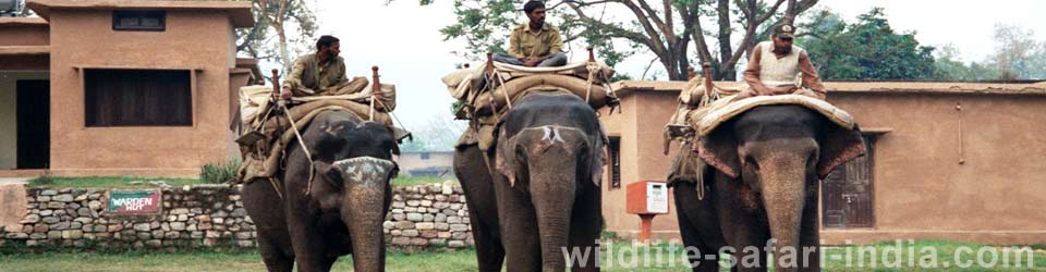 Corbett National Park