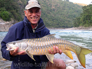 Mahseer , Van Ghat mahseer camp