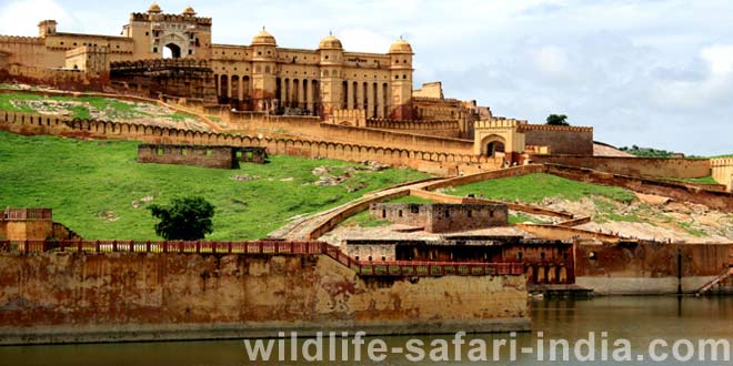 Amber Fort, Jaipur